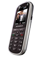 Best available price of Motorola WX288 in Sanity