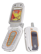 Best available price of Motorola V501 in Sanity