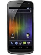 Best available price of Samsung Galaxy Nexus I9250 in Sanity