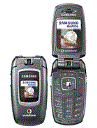 Best available price of Samsung ZV40 in Sanity